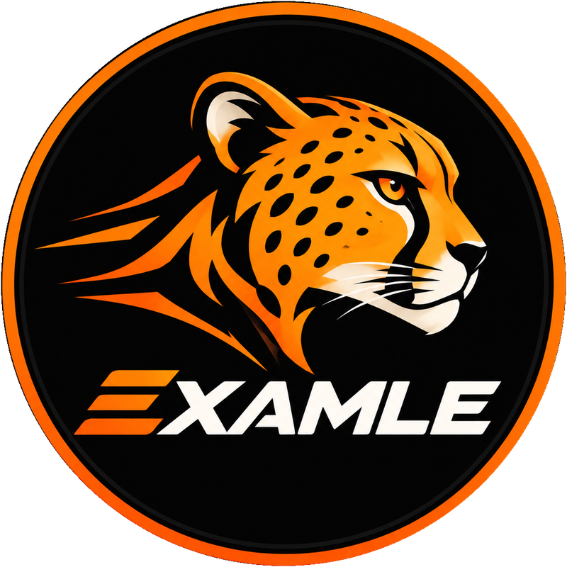 Examle – Free JEE & NEET Test Series, PYQs & Chapter-wise Practice